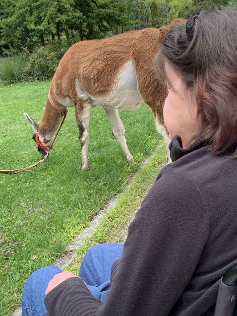 Bewohnerin und Lama 