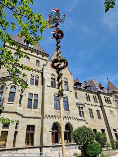 Maibaum vor Schloss Cumberland