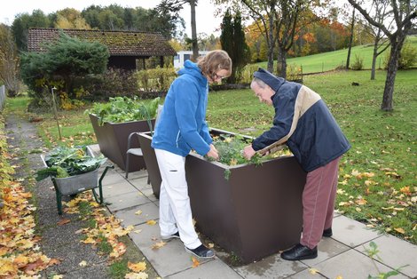 Herbstarbeit bei den Hochbeeten