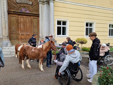 Therapieponys und BewohnerInnen vor dem LPBZ Haupteingang
