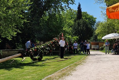 Männer versammeln sich um liegenden Maibaum