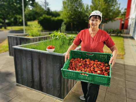 Mitarbeiterin mir großer Kiste Erdbeeren