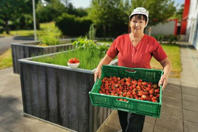 Mitarbeiterin mir großer Kiste Erdbeeren