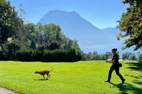 Mantrail Gmunden Frau mit Hund