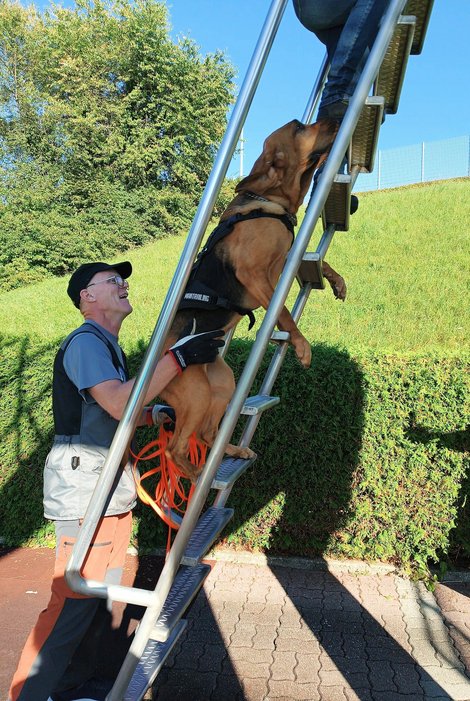 Mantrail Gmunden Mann mit Suchhund