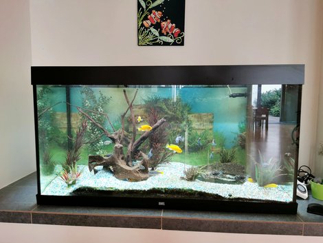 350 Liter Aquarium