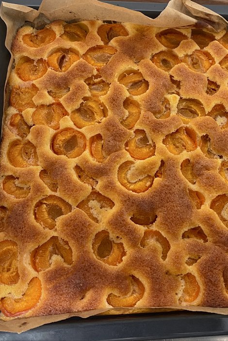 Backblech mit Marillenkuchen