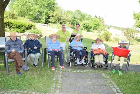 Pfingstrosen im Garten