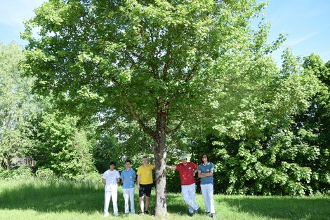 Fünf junge Männer stehen in einem Garten nebeneinander unter einem Laubbaum.