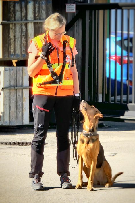 Mantrail Gmunden Frau mit Hund