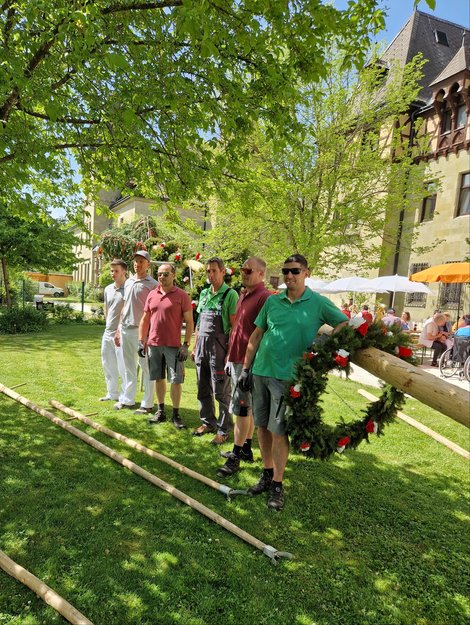 Männer beim liegenden Maibaum in Cumberland