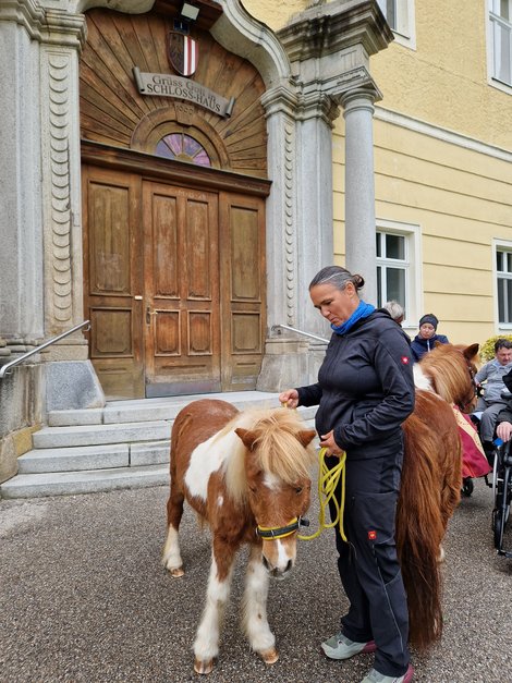 Doris Hohenwallner mit Shetlandpony 