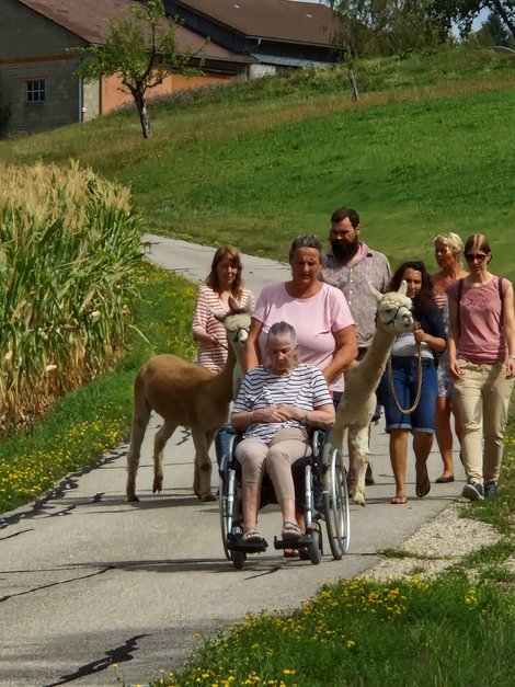 Spaziergang entlang eines Weges der BewohnerInnen und Alpakas