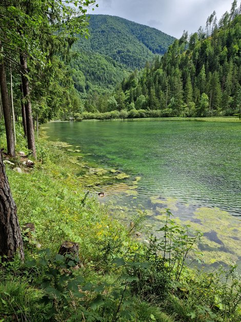 Bewohnerausflug Schiederweiher