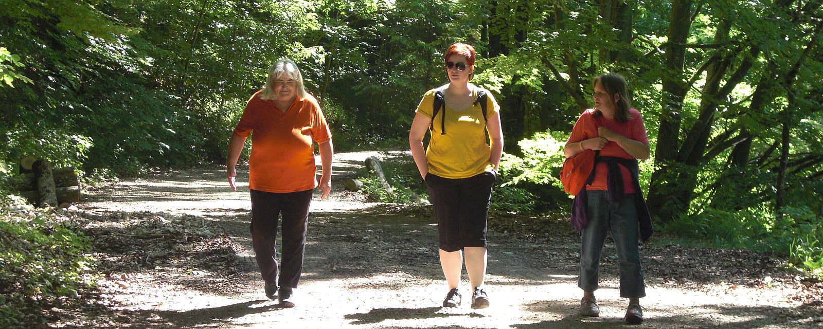 3 Frauen spazieren durch den Wald