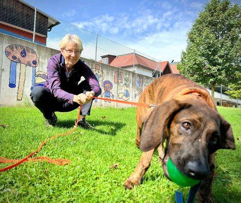 Mantrail Gmunden Frau mit Hund