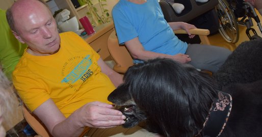Hundetherapie