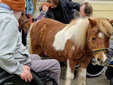 Bewohner im Rollstuhl neben Pony
