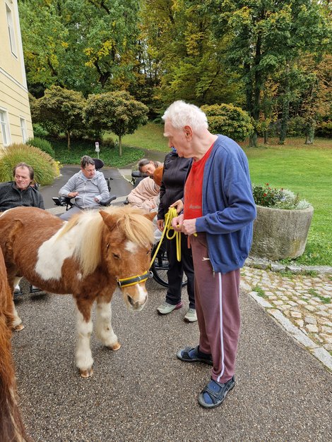 Bewohner führt Pony am Strick