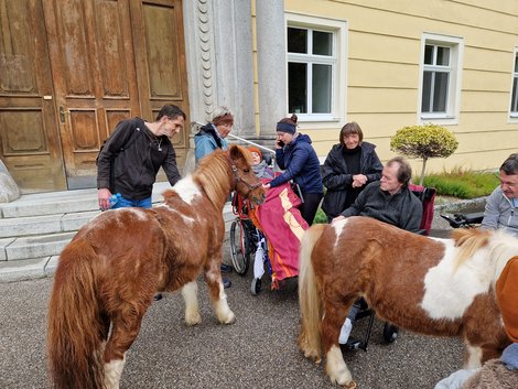 Therapieponys und BewohnerInnen vor LPBZ Schloss Haus