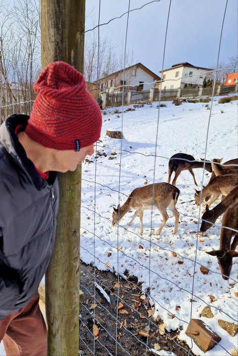 Mann beobachtet Tiere