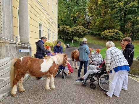 Therapieponys und BewohnerInnen vor dem LPBZ Haupteingang
