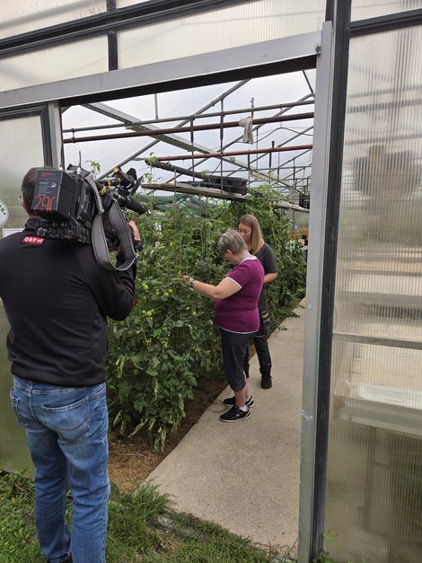 Bewohnerin Christina, ORF-Moderatorin und Kameramann bei den Tomaten