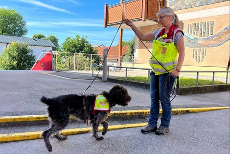 Mantrail Gmunden Frau mit Hund