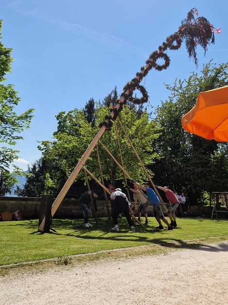 Maibaum während des Aufstellens 