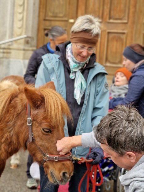 Bewohner streichelt Therapiepony Frau sieht zu