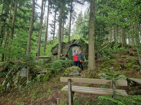 Ehrenamtliche MitarbeiterInnen bei der Waldwanderung