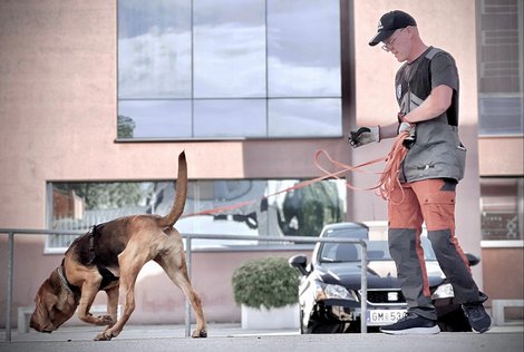 Mantrail Gmunden Mann mit Suchhund