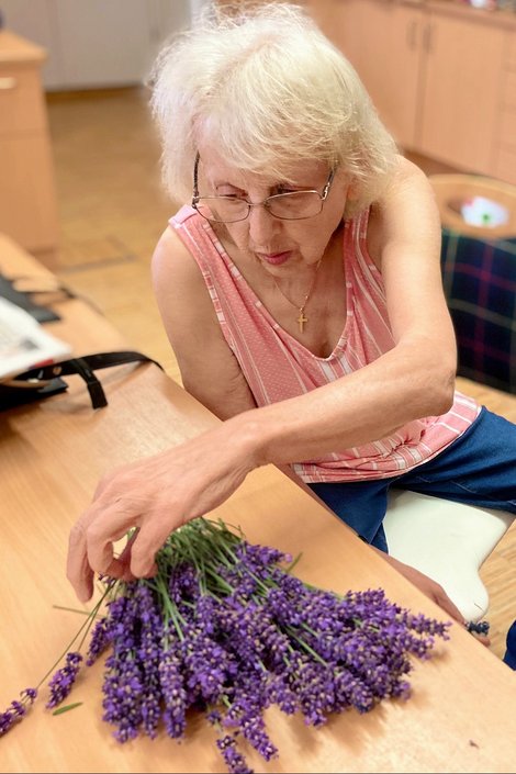 Tagesgast zupft Lavendel