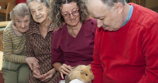 2 Bewohnerinnen, Mitarbeiterin mit Meerschwein, Bewohner