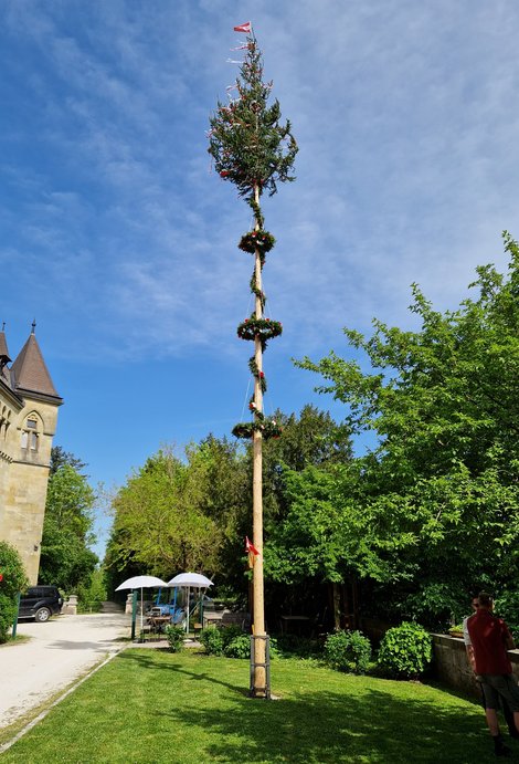 Maibaum vor Schloss Cumberland