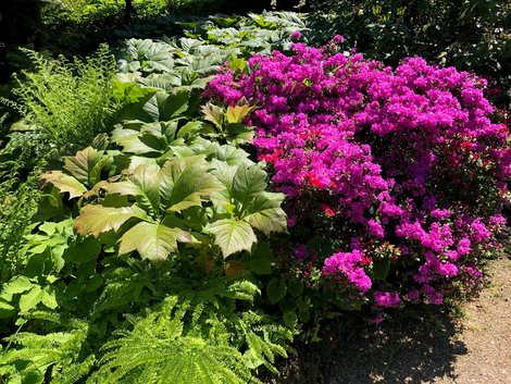 Pflanzenpracht im Botanischen Garten