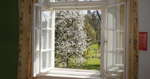 Blick durch das geöffnete Zimmerfenster in den Garten