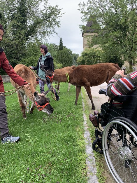 Bewohner und Lama 