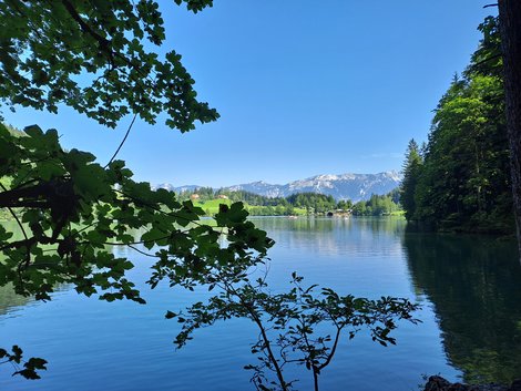 Gleinkersee