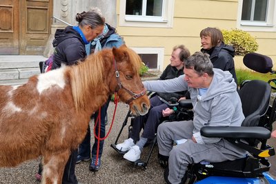 Bewohner im Rollstuhl streichelt Shetlandpony 