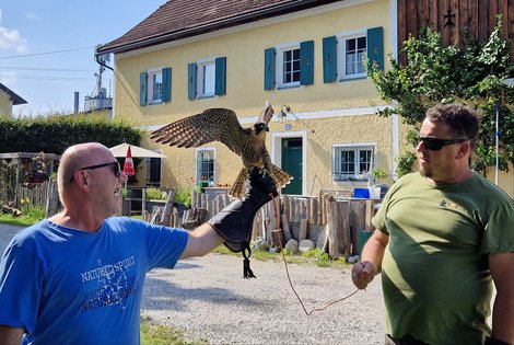 Besuch in der Falknerei