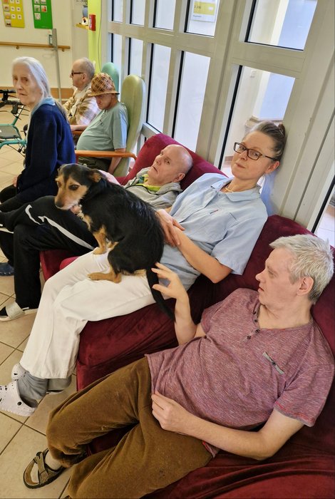 Eine Gruppe rund um Therapiehund Pluto